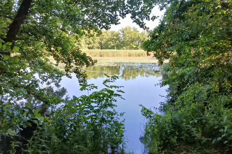 zdjęcie wyróżniające Nowe przepisy mogą utrudnić tworzenie rezerwatów przyrody